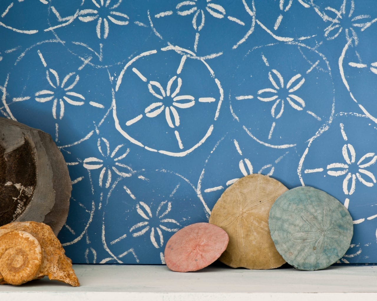 *SALE*SAND DOLLAR サンドダラー